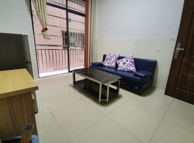 家园公寓（江夏东一街二十七巷16号） 1室1厅1卫