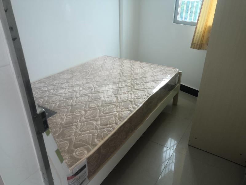 嘉豪公寓（望岗杨村园街27号）3900923卧室图3