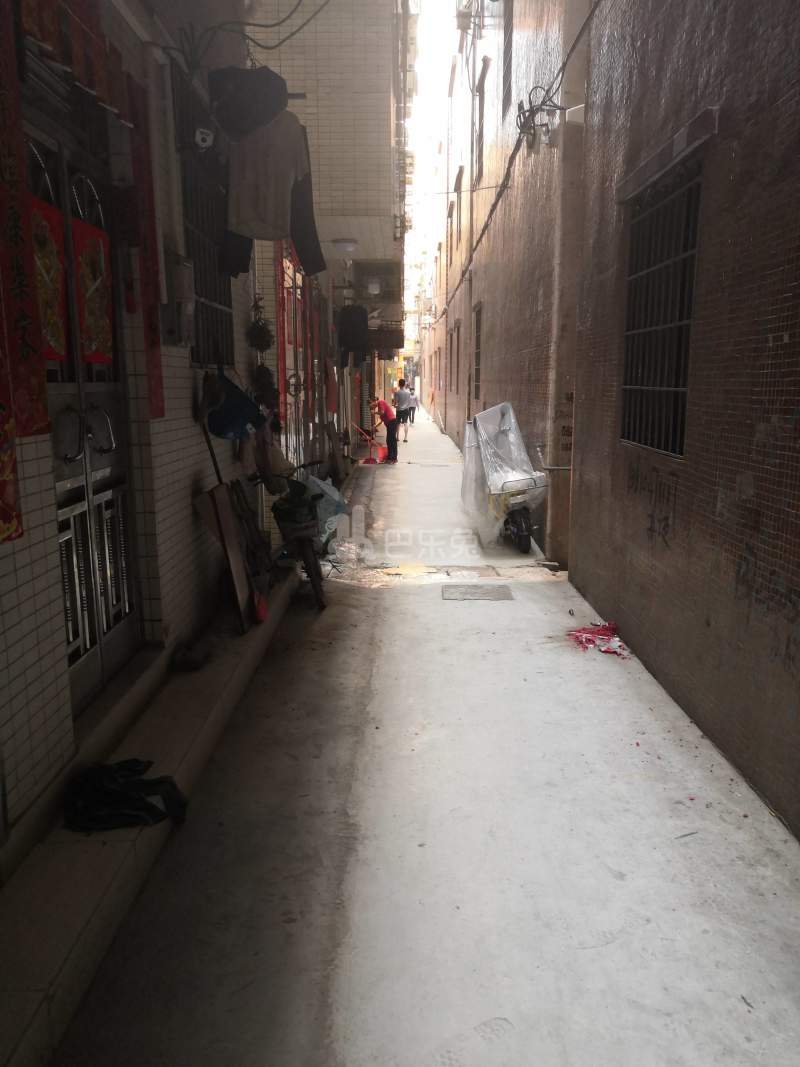 兰馨公寓（望岗塘田街南三巷11号）3901757周边环境图6