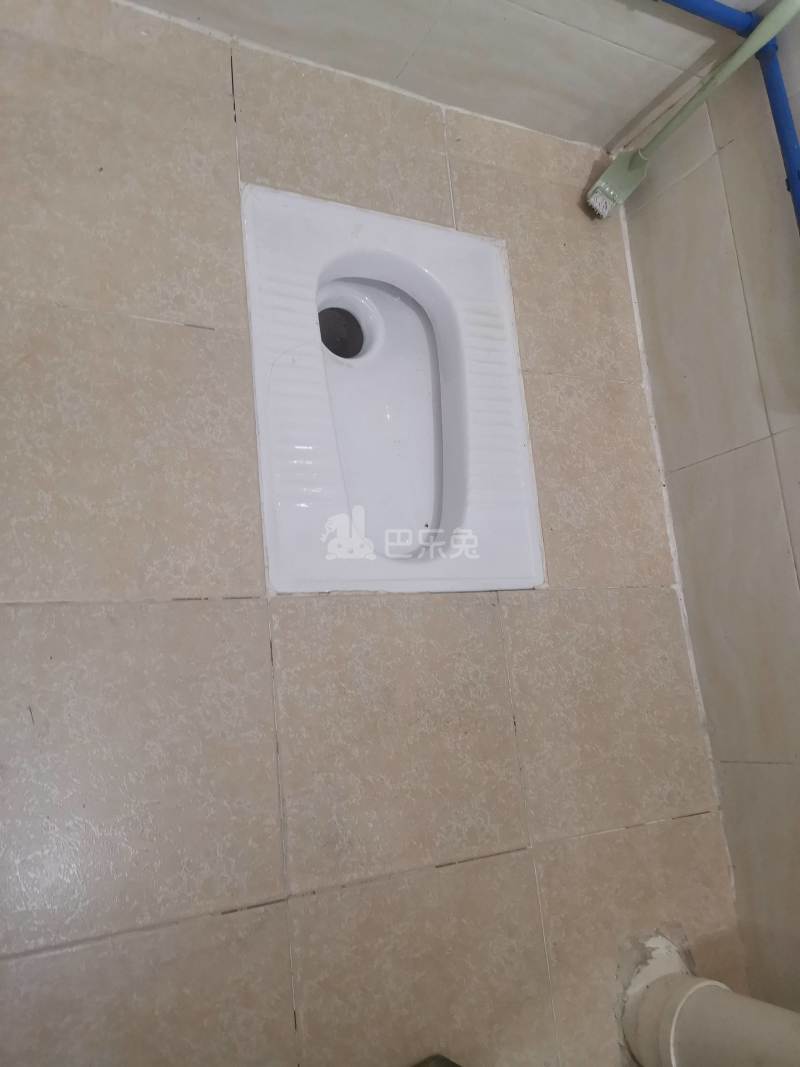 河水东大街46号之二B栋3919367卫生间图5