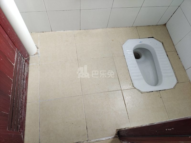 松岗园一巷16号3933978卫生间图10