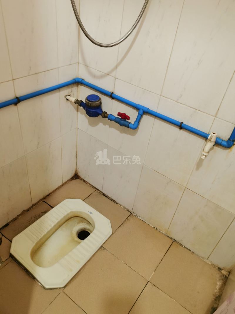 棠东龙门大街一巷18号3938774卫生间图6