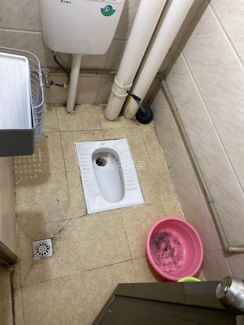 礼村东华街二巷6号3964218卫生间图8