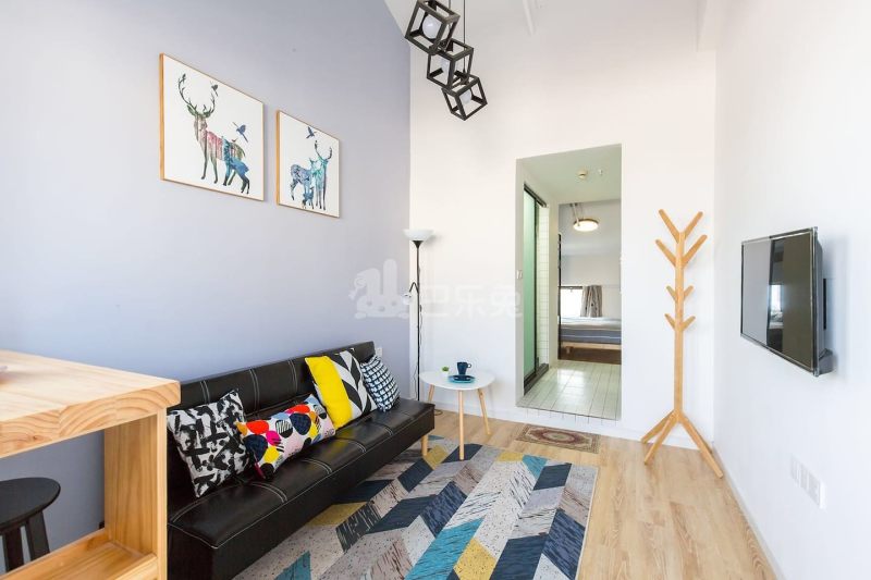 浩如民宿•未来社公寓3992371客厅图3