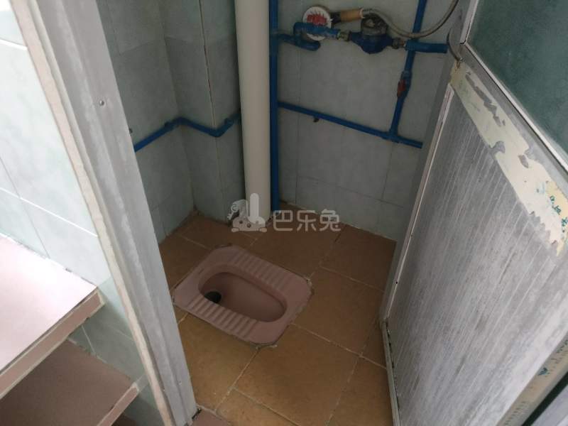 江夏村大塘六巷5号B栋4002344卫生间图6