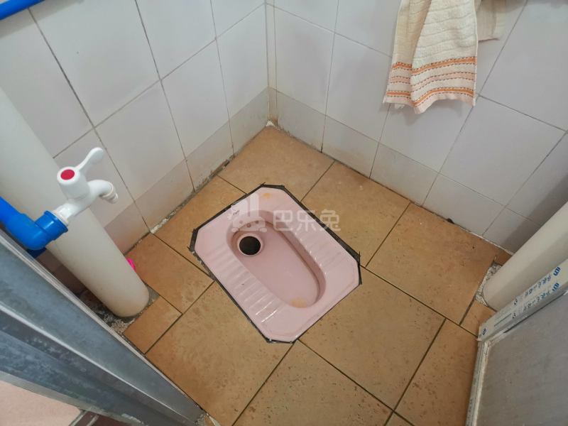 江夏村大塘六巷5号B栋4002354卫生间图7