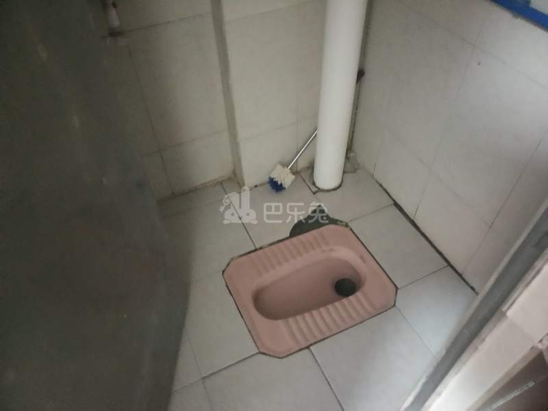 江夏村大塘六巷5号C栋4002399卫生间图4