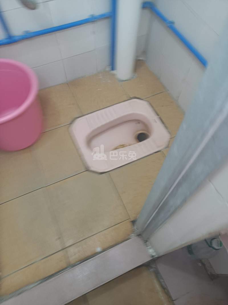 江夏村大塘六巷5号C栋4002429卫生间图4