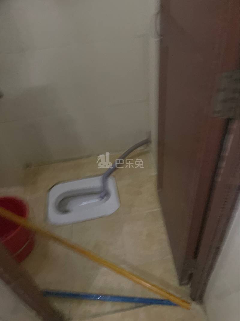 平安公寓（镇北大街24号之一）4031026卫生间图4