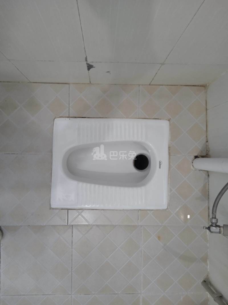 鸣豪商务公寓（望岗村东胜北街29-31号）4061127卫生间图6