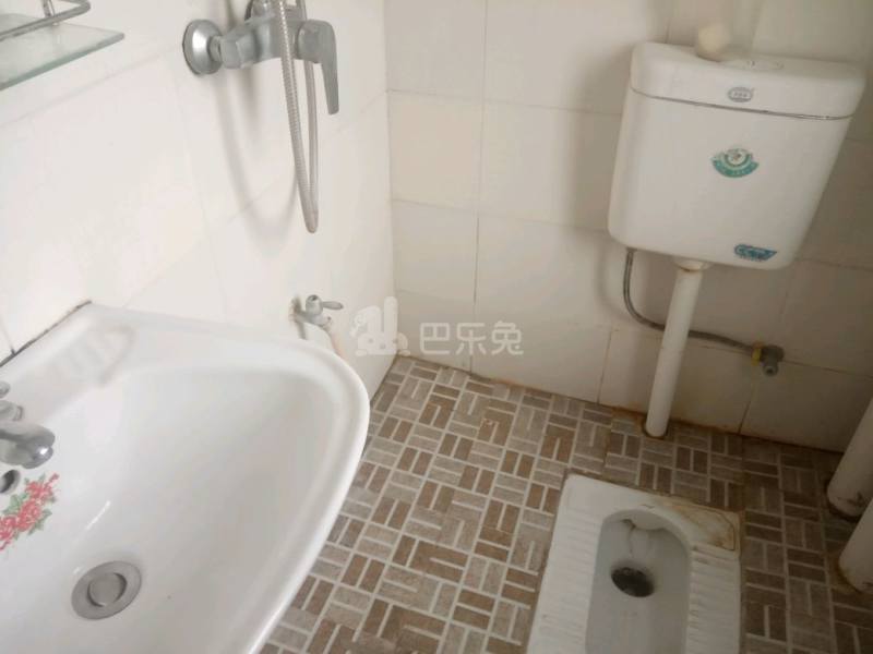 楚天都市金园4071490卫生间图4