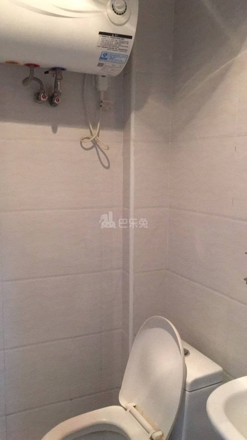 瑞鸿宇公寓4072916卫生间图9