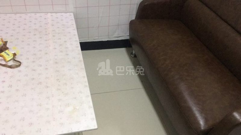 瑞鸿宇公寓4072916客厅图6