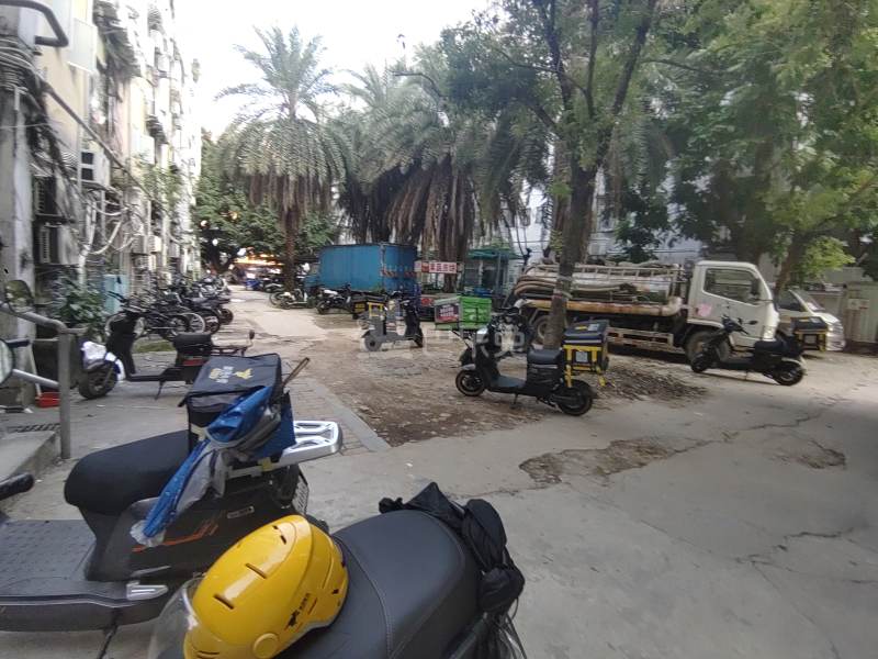 南油生活B区4095281周边环境图6