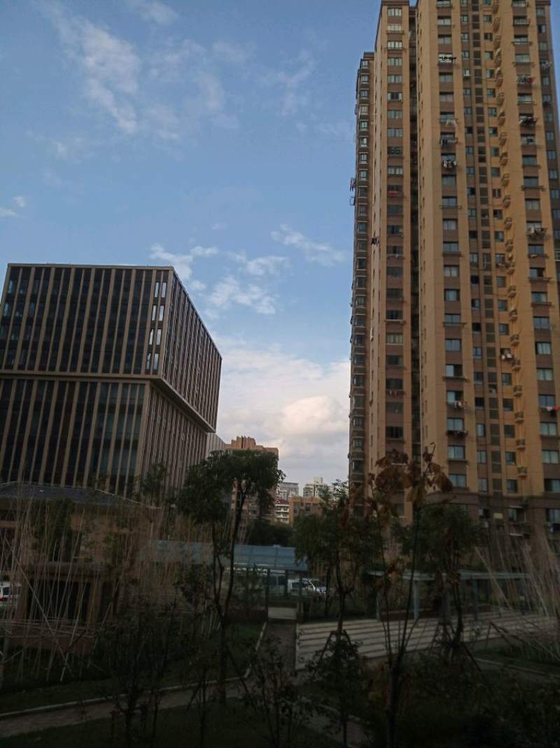 金枫里(彩虹湾居住区2.
