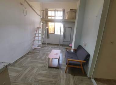 卢浮公寓（大涌路195号A区） 1室1厅1卫