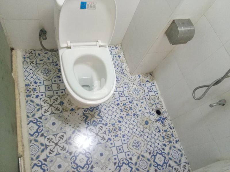 卢浮公寓（大涌路195号B区）4113545卫生间图7