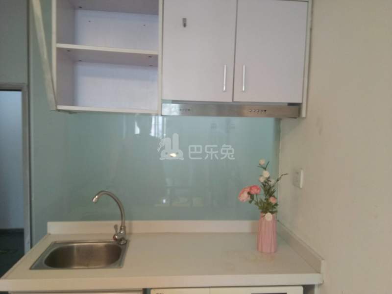 卢浮公寓（大涌路195号B区）4113545厨房图6