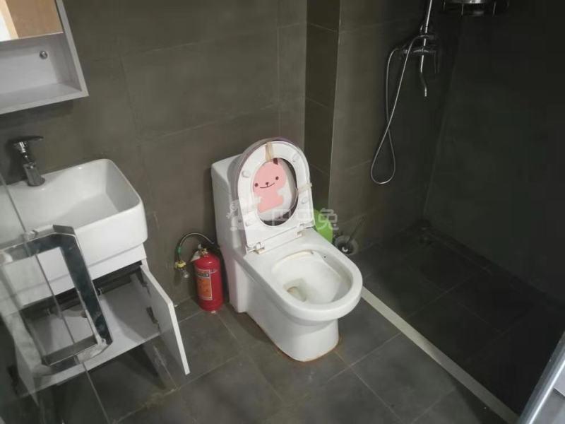 哈租客公寓（城西银泰店）4118269卫生间图3