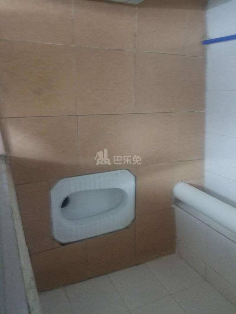 江夏村塘头一巷4-2号4124168卫生间图7