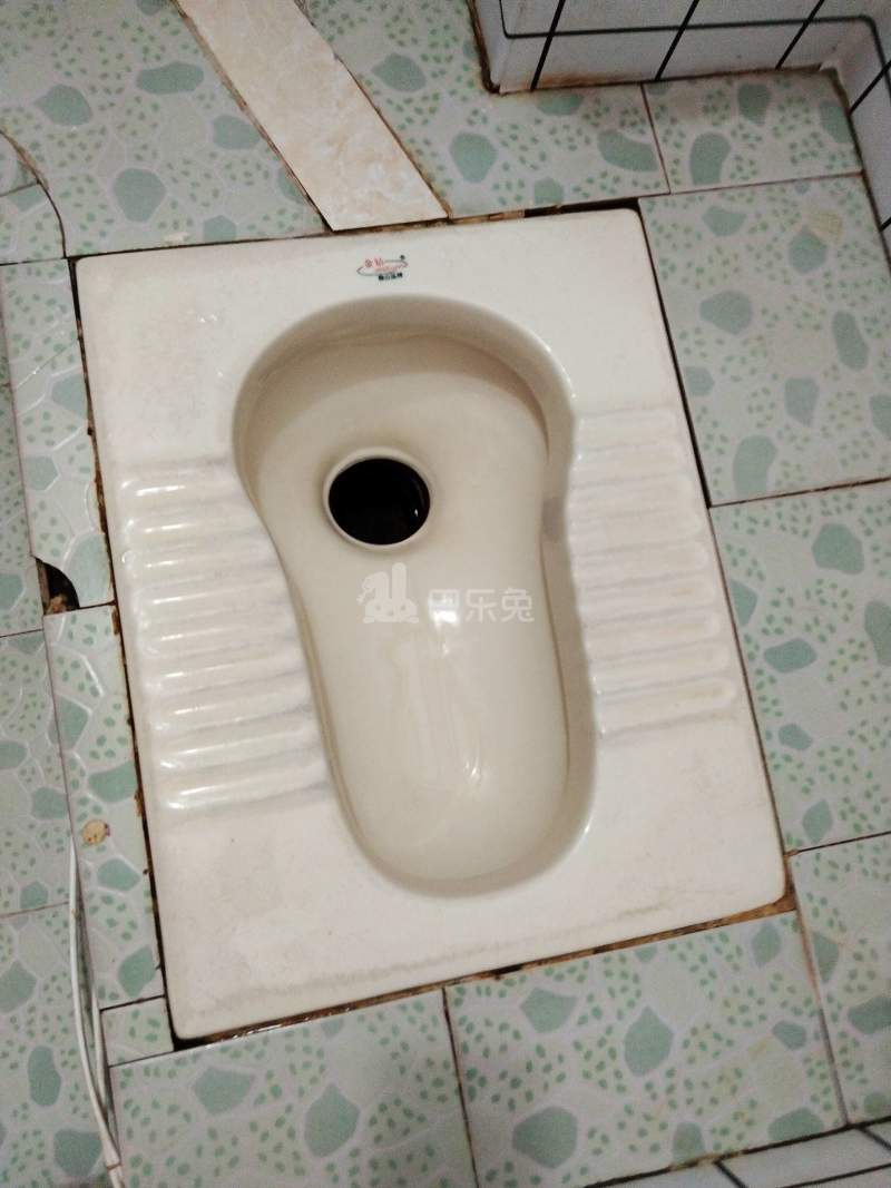 龙诚汇物业（龙洞村龙洞北苑小区五巷2号）4146885卫生间图4