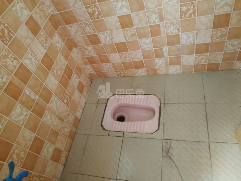 龙诚汇物业（龙洞村龙洞聚贤小区二巷9号）4147202卫生间图7