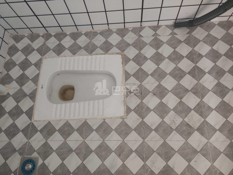 龙诚汇物业（龙洞村龙洞西街宝华里1号）4148071卫生间图5