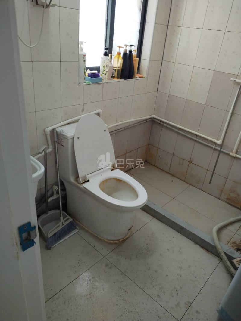 华泾绿苑5185804卫生间图8