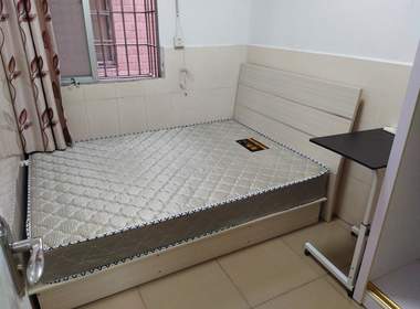 珠村东横三路六巷3号 