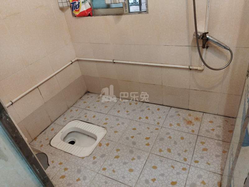 珠村东横三路六巷3号4185042卫生间图7