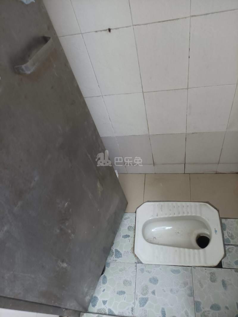 棠东龙门大街五巷3号-棠东村4189439卫生间图10