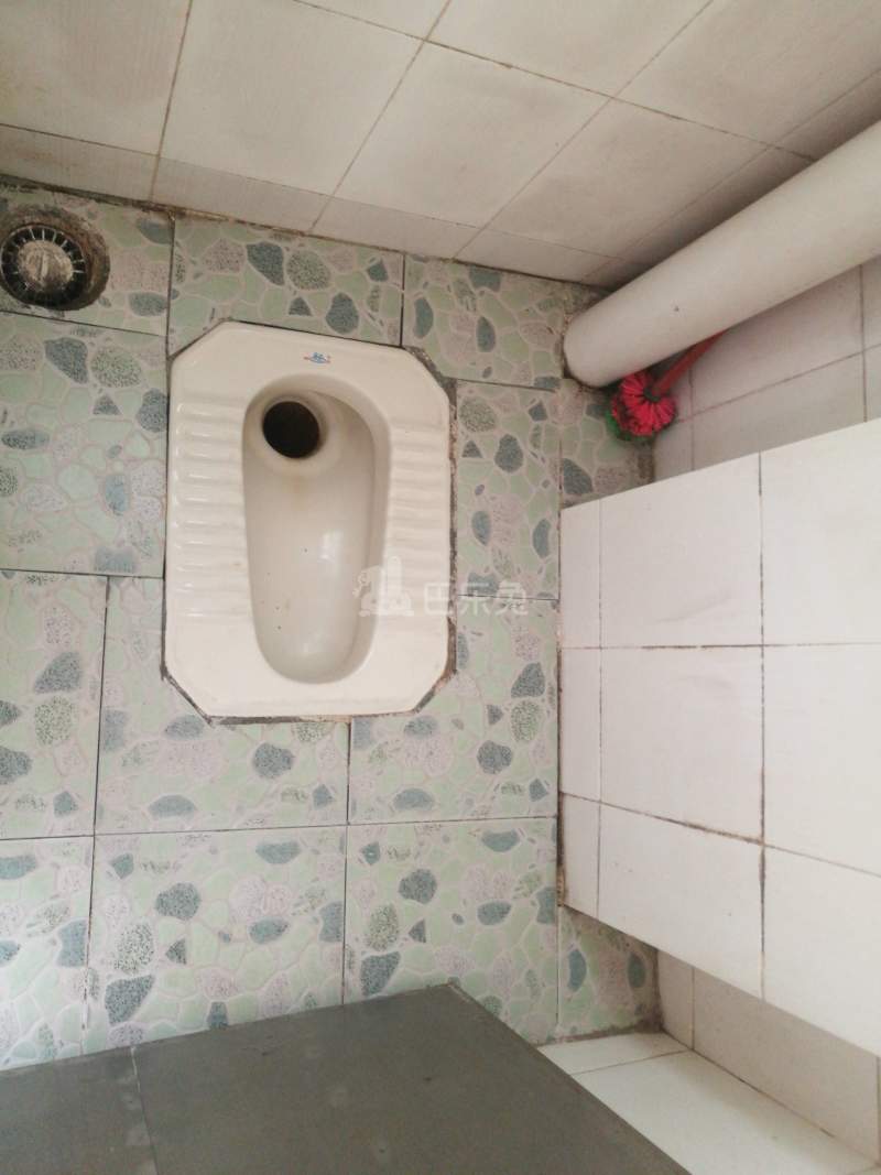 棠东龙门大街五巷3号-棠东村4189454卫生间图5