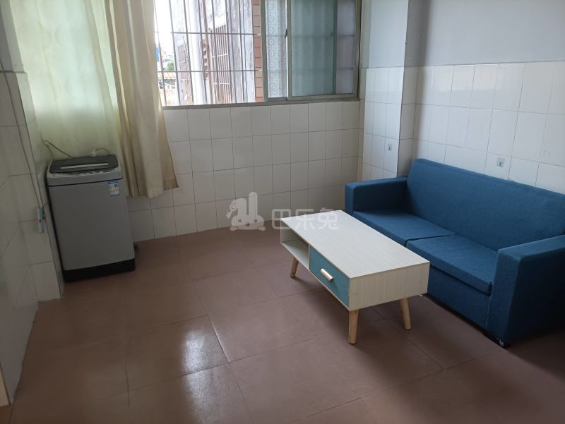 棠东龙门大街五巷3号-棠东村4189455客厅图8