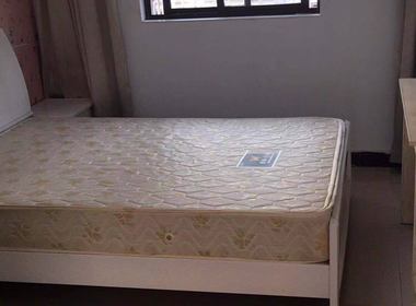 时代公寓 1室0厅1卫