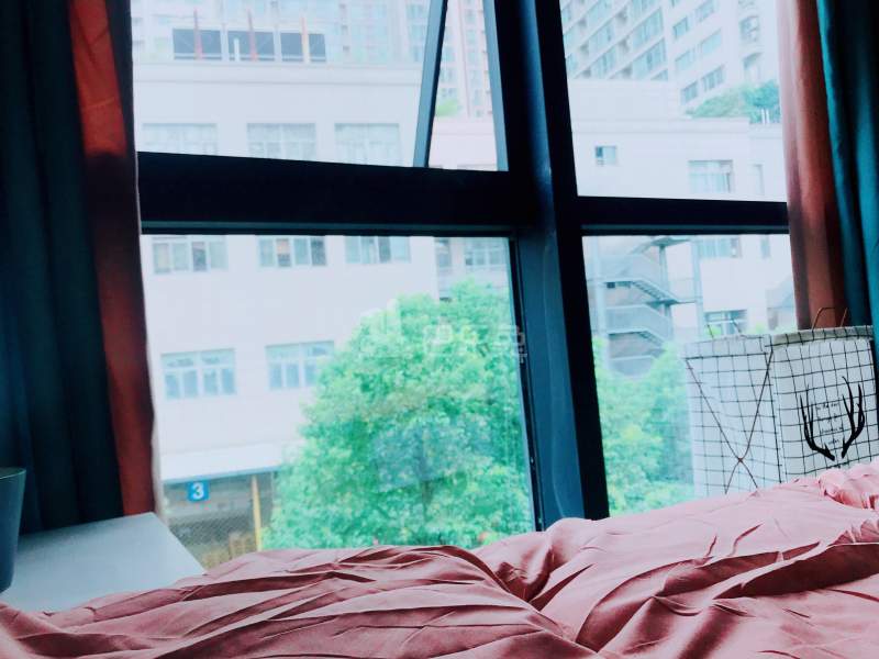 E+青年公寓（乐购店）4214148卧室图2