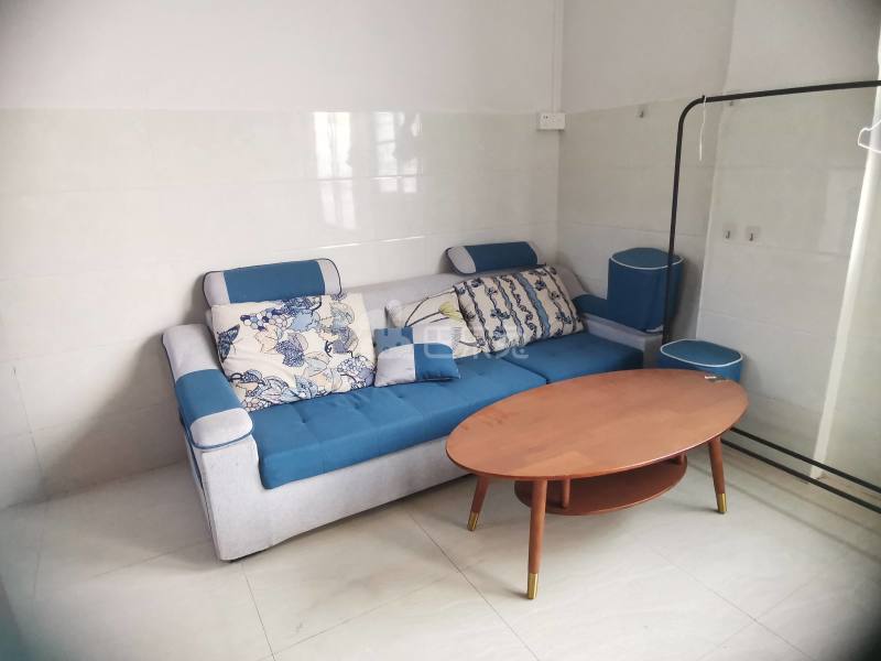 礼村维新街三巷6号4214898客厅图8