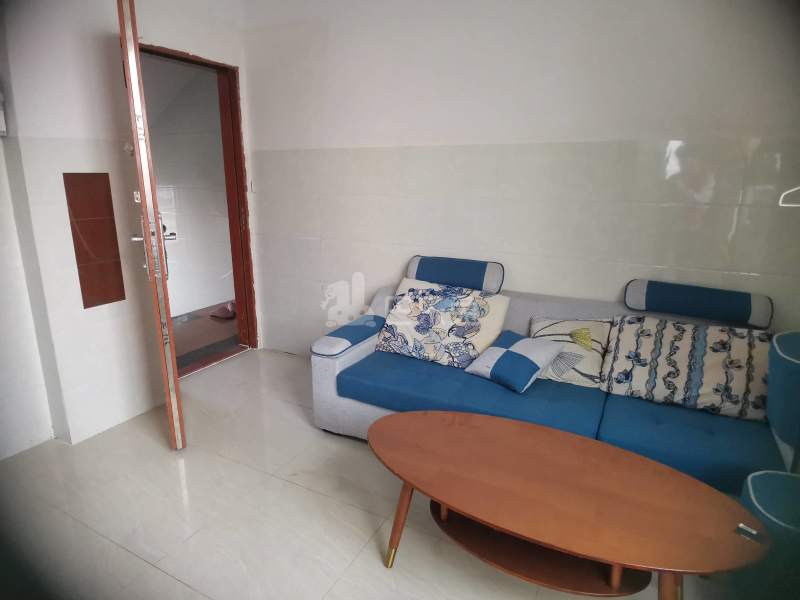 礼村维新街三巷6号4214898客厅图7