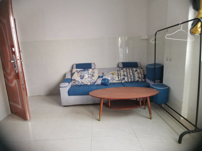 礼村维新街三巷6号4214898客厅图6