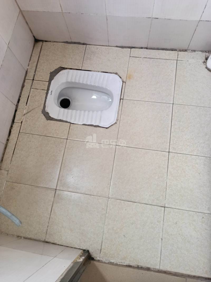 黄村东明里八巷3号4229020卫生间图10