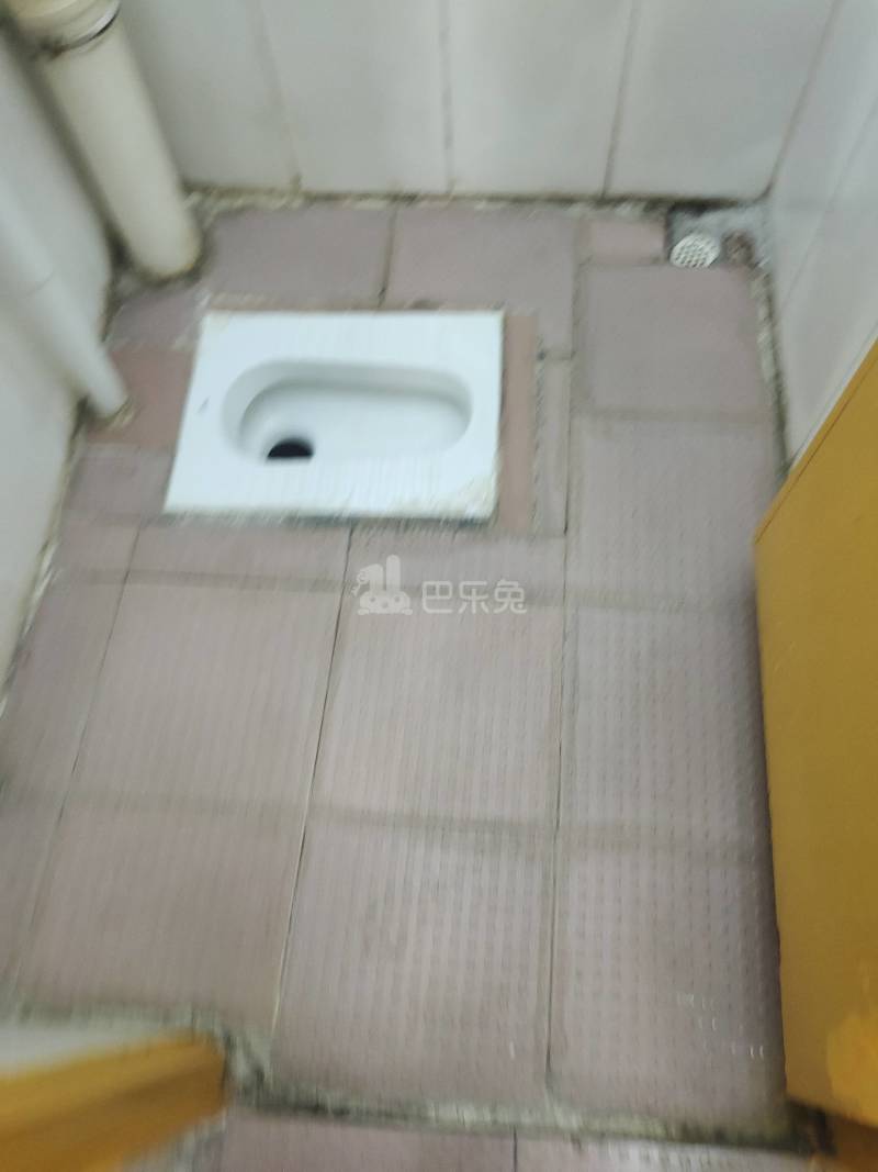 黄村东明里五巷22号4233348卫生间图7