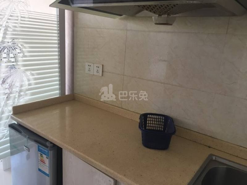 居家公寓（杭州）4244990厨房图7