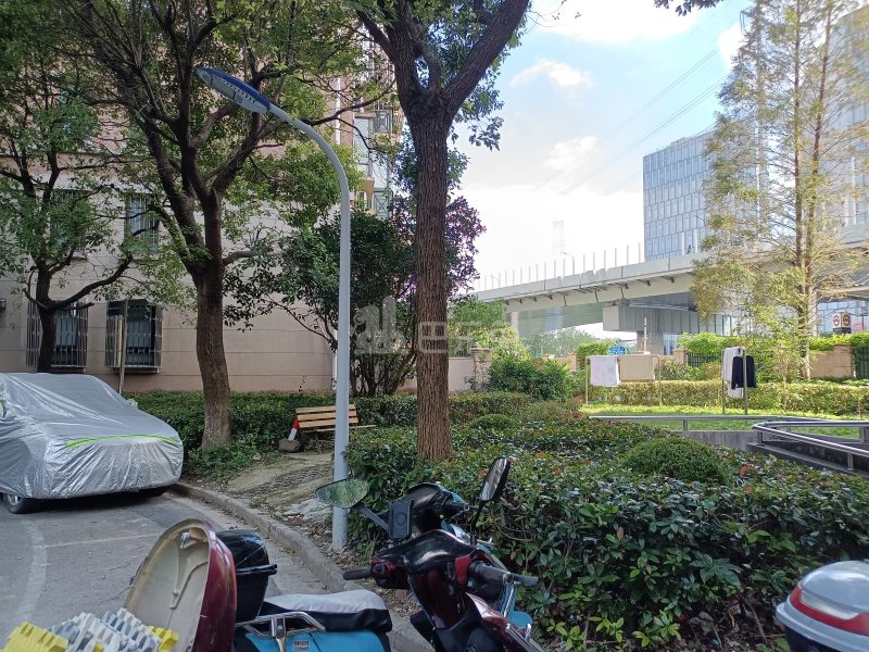 金桥新城金舍苑4249953周边环境图7