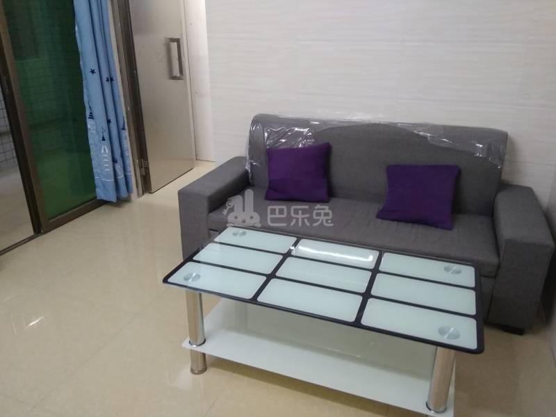 诚信公寓（礼村中路十四巷4号）4255160客厅图4