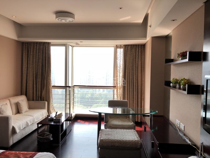 途悦酒店式公寓4264061客厅图2