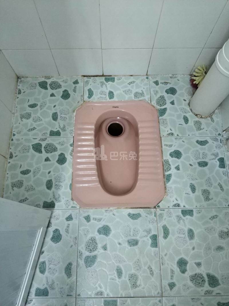 车陂大塘后街三巷15号4273931卫生间图5