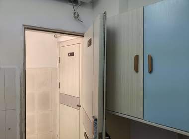 黄村麻根林12号 