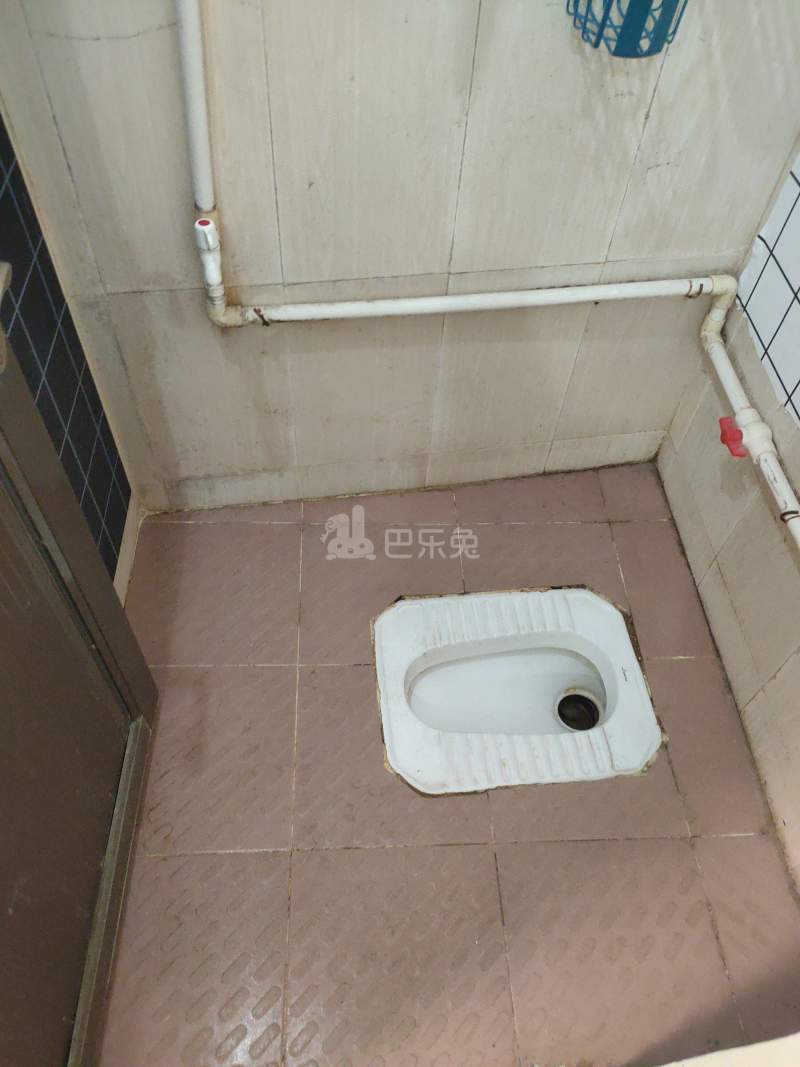 利辉雅居（礼村北约街25号之一）4299429卫生间图7