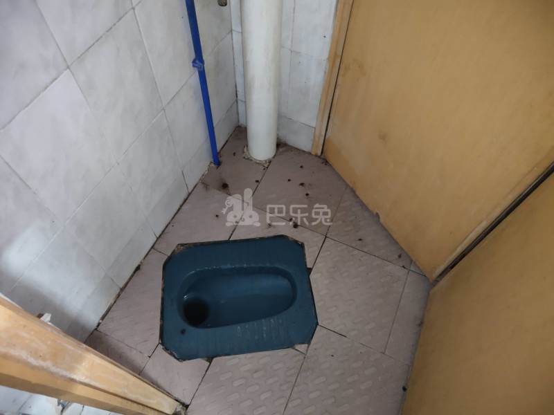 馨园公寓（江夏村庙四巷16号）4300593卫生间图5