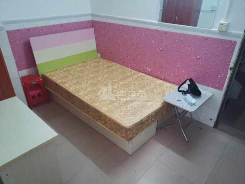 棠东丰乐上街西三巷9号4304864卧室图0