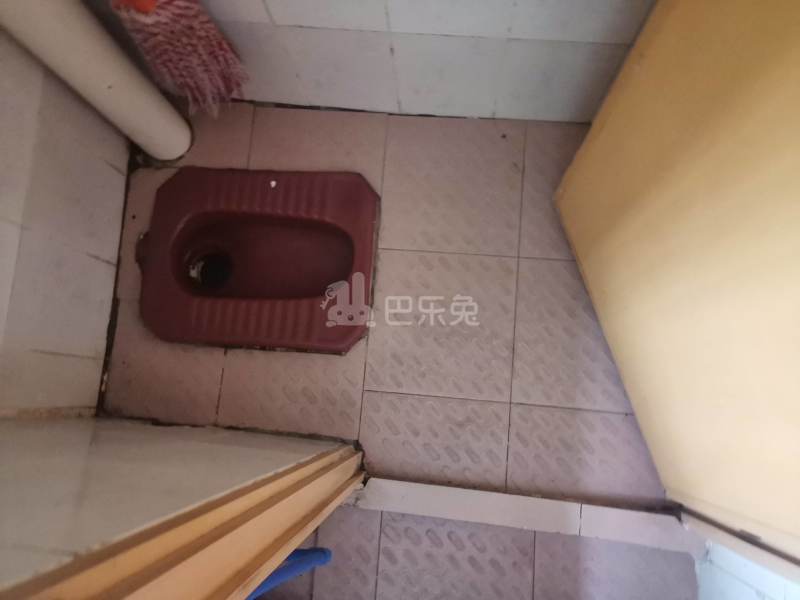 棠东丰乐上街西三巷9号4304864卫生间图6